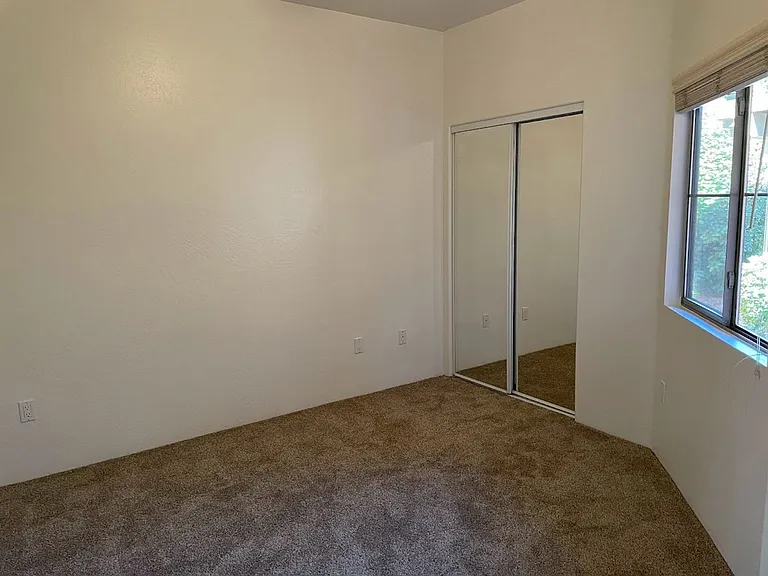 811 Dusty Rose Dr — Photo 8