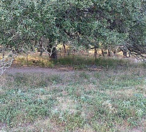 5th image of Prune Ln