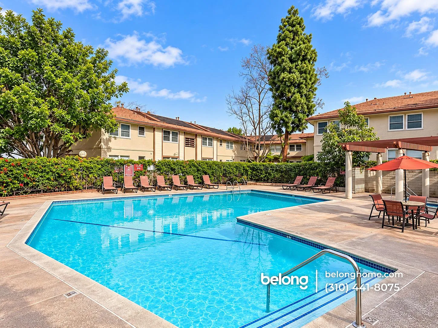2 bed, 1.5 bath, 906 sqft, $3,200 — Photo 2
