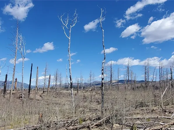 lot  1228 Granville Loop LOT 1228, Fort Garland, CO 81133