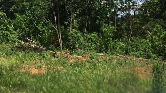 2nd image of 12981 Burkesville Hwy