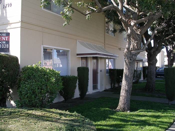 Mature, lush landscape!