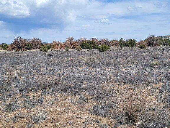 4th image of 46 Southern Trl