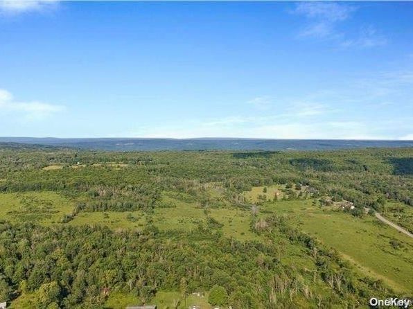 L8. 111 Churches Rd Ridges, Other, NY 12053