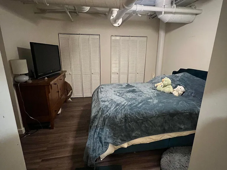 1049 N Paulina St #1C — Photo 13