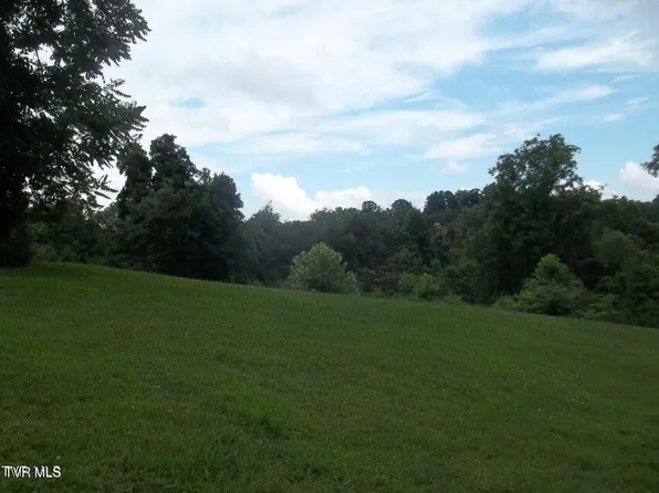 1167 Cherry Blossom Ln, Talbott, TN 37877