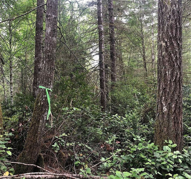 1st image of 6894 Schweitzer Pl SW