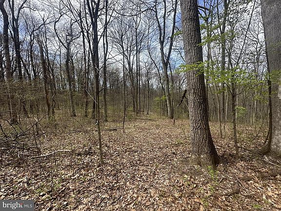 3rd image of Pottstown Pike