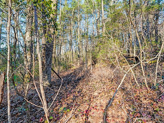 4th image of Lot 17 Bowery