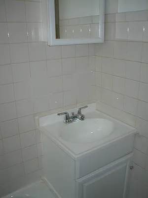 Rented by Eric Goodman Realty Corp | media 21