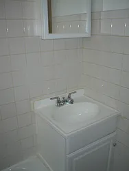 Rented by Eric Goodman Realty Corp