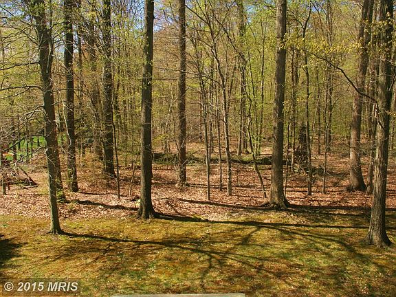 Just look at your back yard setting
