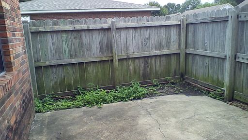 2nd image of 131 Park Cir #B