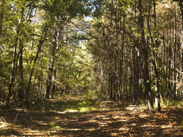3 Hempstead 272, Mc Caskill, AR 71847