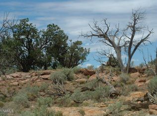 2123 E Pine Rd #403, Williams, AZ 86046