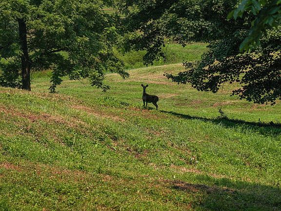 5th image of 2210 Poarch Hollow Rd