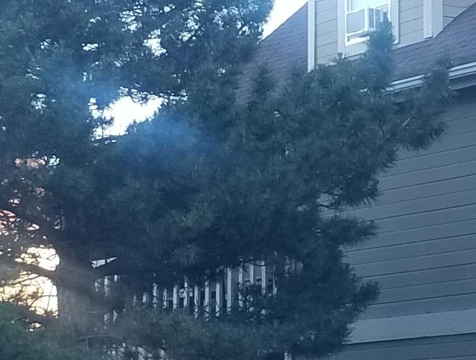 2nd image of 1000 N Beaver St APT 210