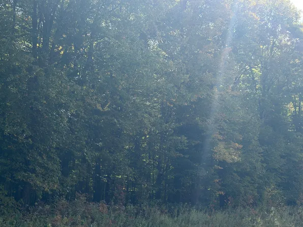 On Pine Creek Rd, Park Falls, WI 54552