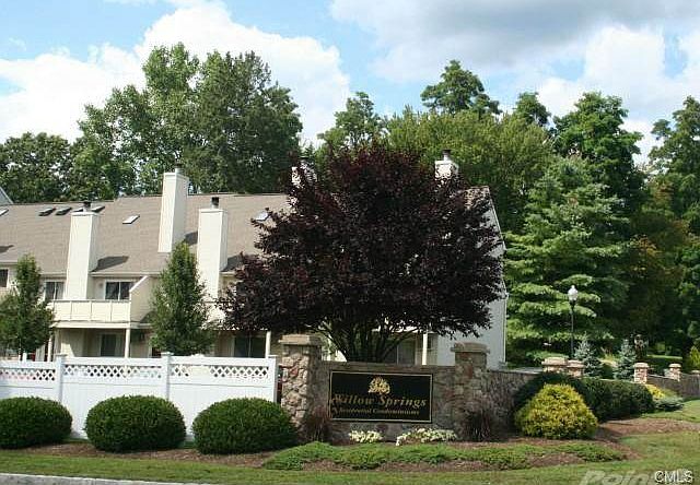 Willow Springs in Southern New Milford