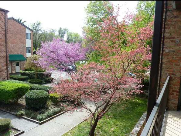 2718 Painter Ave, Knoxville, TN
