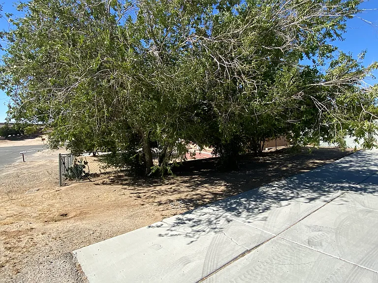 16463 Solvang Ave — Photo 24