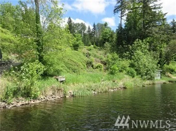 40406 Ski Park Rd E, Eatonville, WA 98328