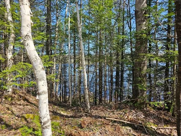 3614 W Nathan Pass, Mercer, WI 54547