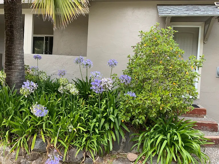 Keats Dr — Photo 9