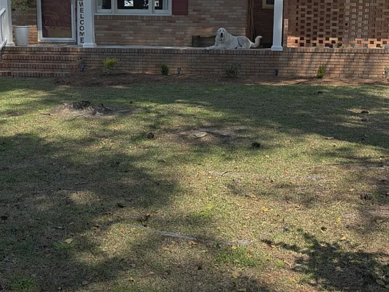 2602 Coats Rd — Photo 48