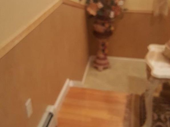 52 Markham Pl #2