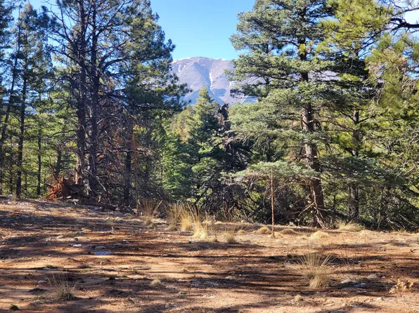 County Road 42 #20, Weston, CO 81091