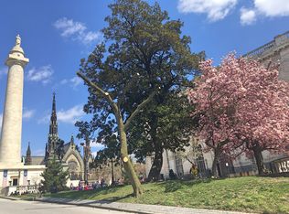 16 W Mount Vernon Pl #3A, Baltimore, MD 21201