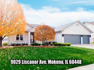 9029 Liscanor Ave, Mokena, IL 60448