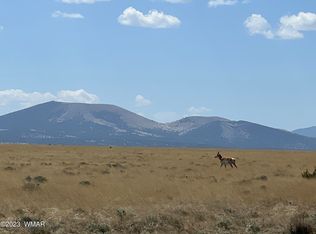 Antelope Dr LOT 78, Concho, AZ 85924