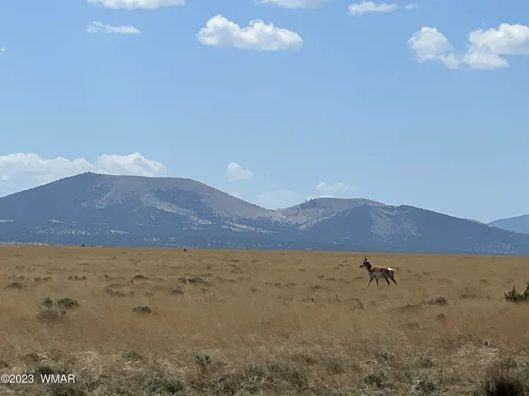 Antelope Dr Lot 78, Concho, AZ 85924