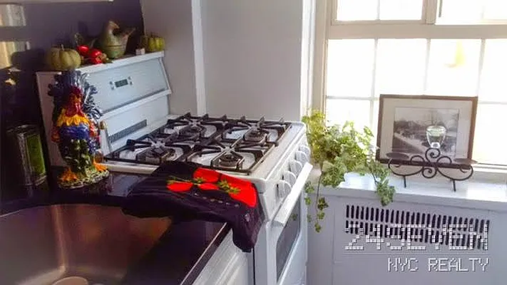 Rented by 24 7 NYC Realty Inc. | media 27