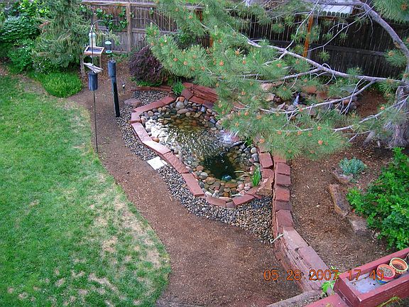 Pond in backyard