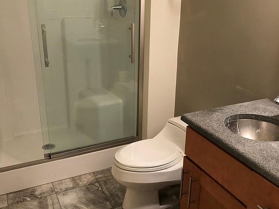 Lower level bathroom