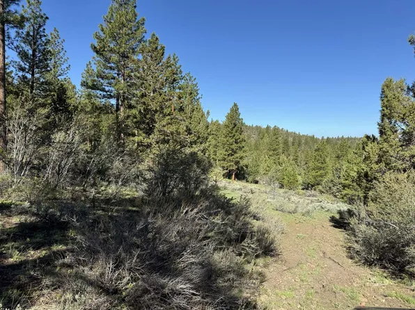 Drews Gap Rd, Lakeview, OR 97630