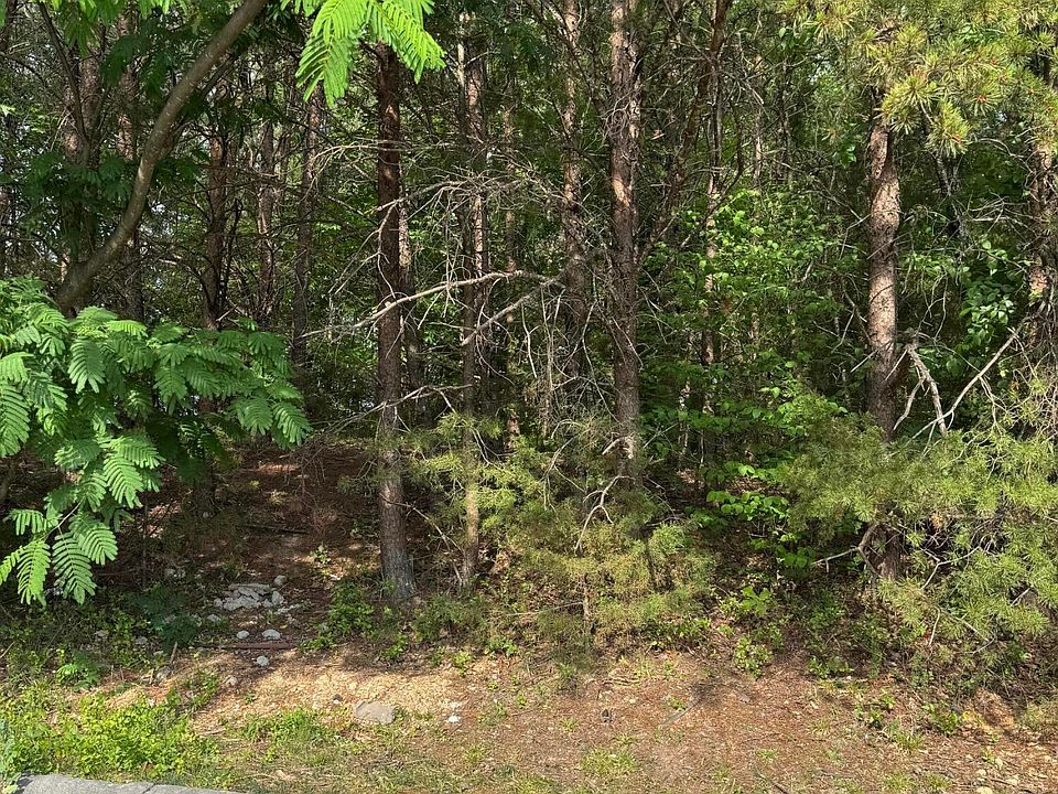 2nd image of Seth Rd #14