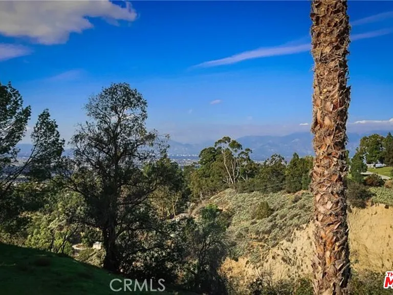 11615 Grande Vista Dr — Photo 29