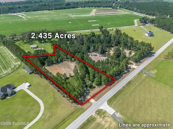 LOT 1 Highway 121 Rd, Blackshear, GA 31516