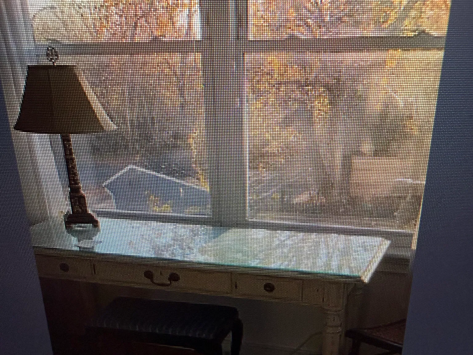 1 bed, 15 sqft, $1,000 — Photo 3