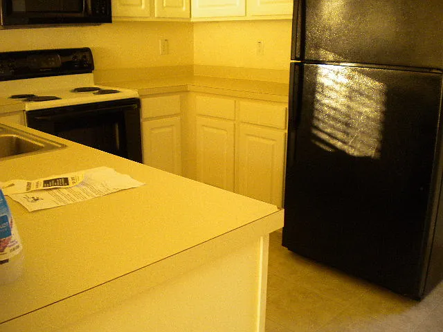 1041 Stoney Falls Blvd - 1 — Photo 3