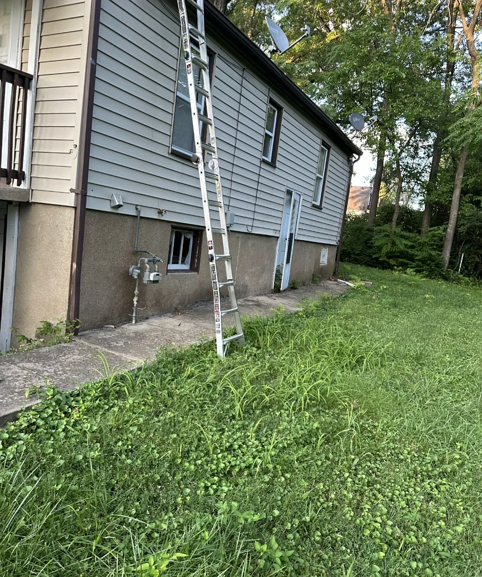3 bed, 736 sqft, $1,300 — Photo 2
