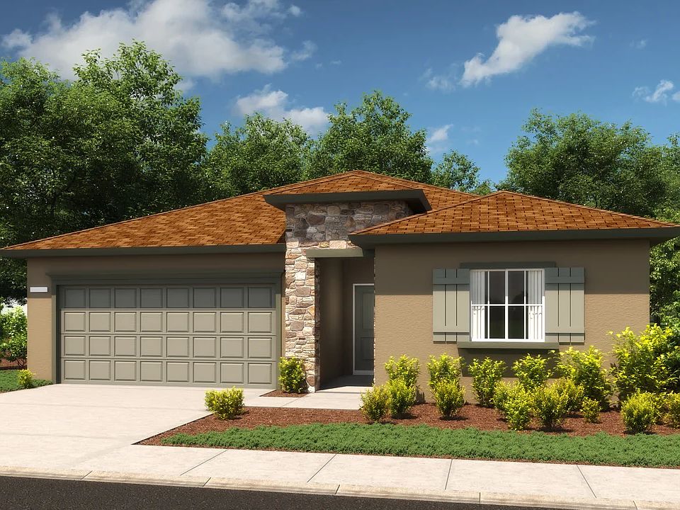 Paso Fino Italianate C