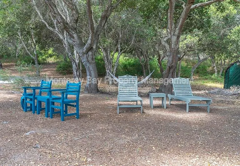 287 Laureles Grade Rd — Photo 57