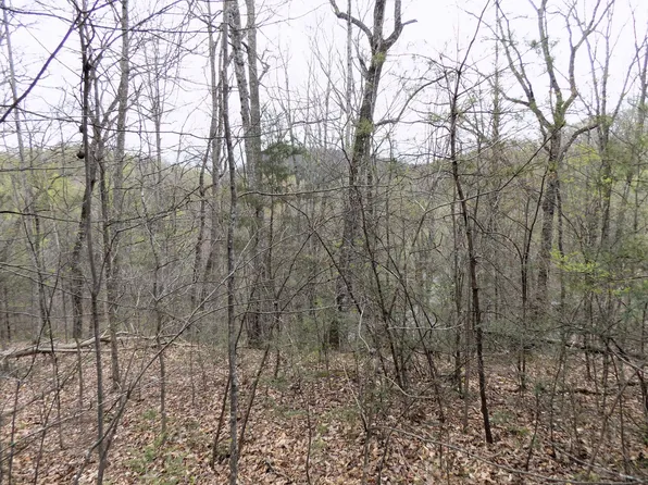 1 Mountain Shadow Way Lot 85186, Cosby, TN 37722