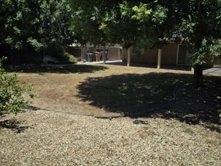 5429 White Wheat Ave — Photo 20