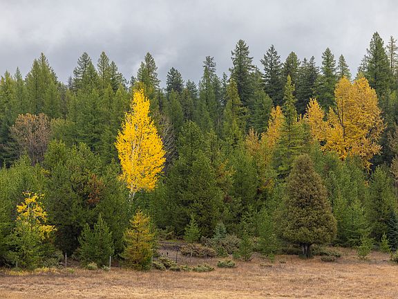 99th image of this home